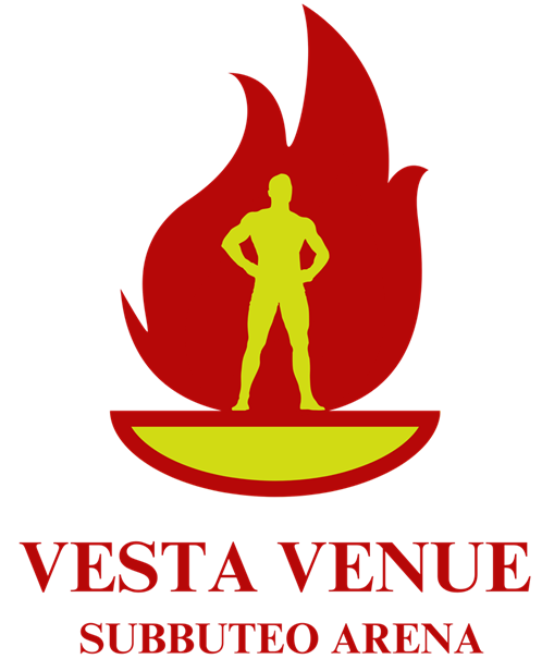 Vesta Venue Subbuteo Arena